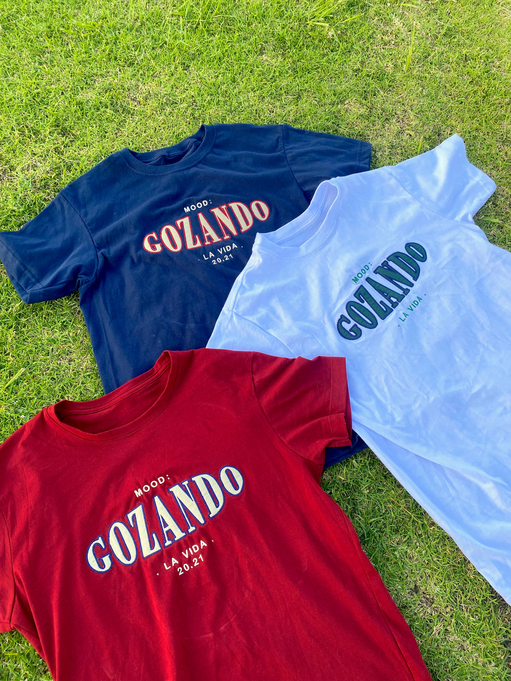 Camiseta - Mood gozando la vida